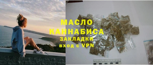 гидра Богородск