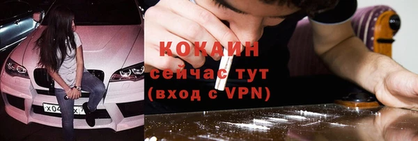 крисы Белокуриха