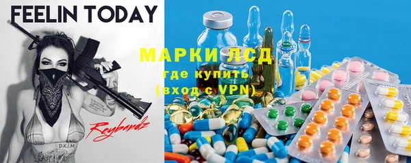 крисы Белокуриха