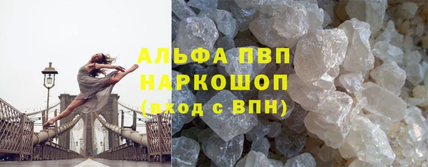 гидра Богородск