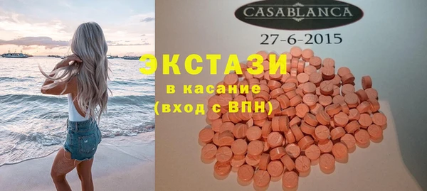 гидра Богородск