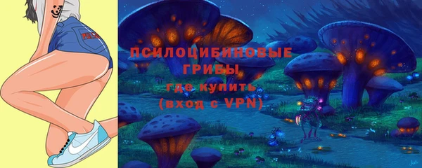 гидра Богородск